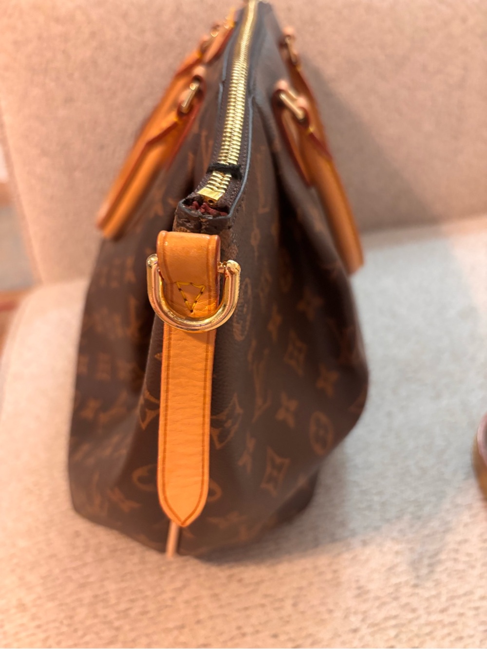 *Fashion* Handbag in Brown with Vachetta Leather - Picture 9 of 17